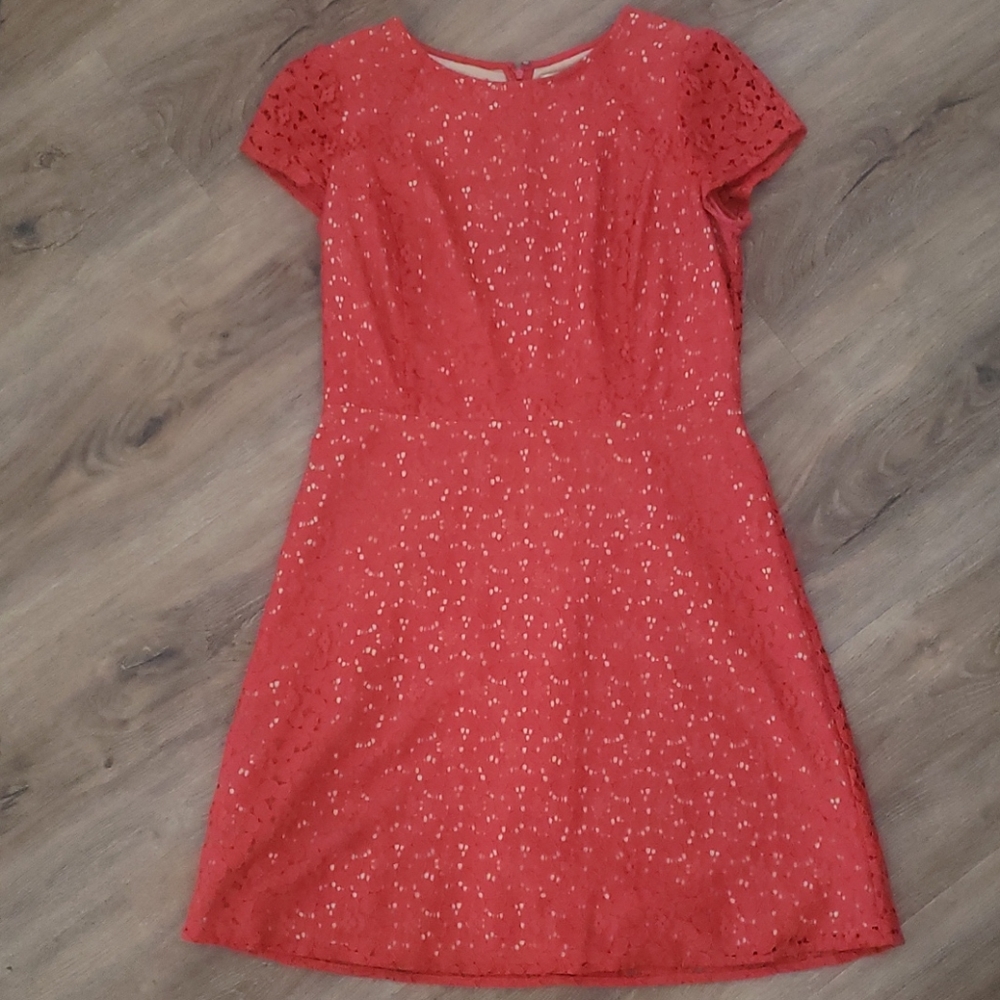 Lace Ann Taylor Loft dress